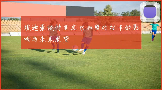 埃迪豪谈特里皮尔加盟对纽卡的影响与未来展望